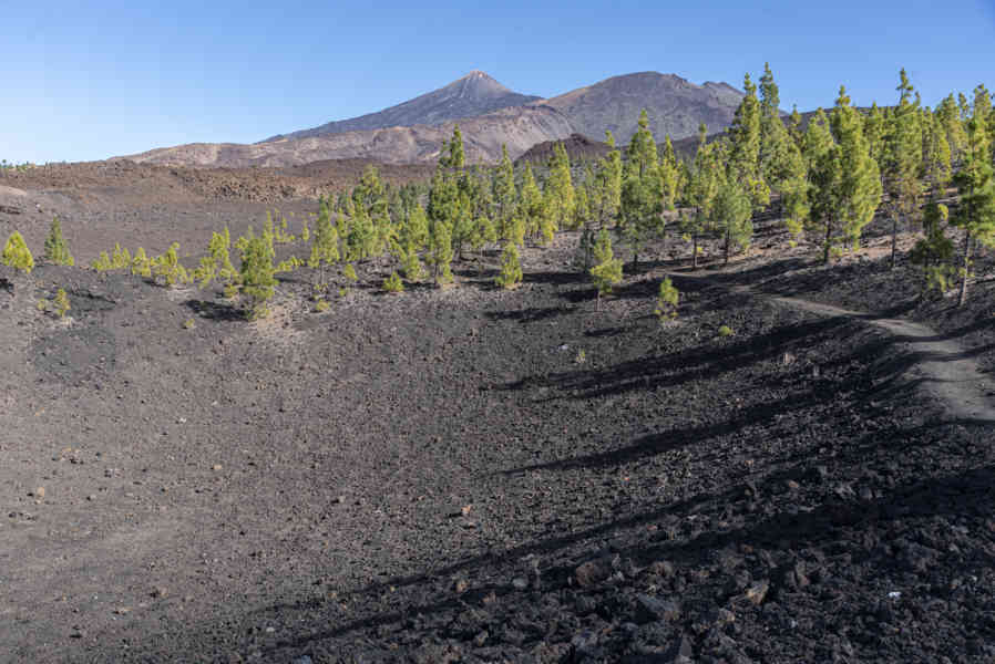Tenerife 25 - parque nacional del Teide - volcanes Cumbre Vieja y Teide.jpg